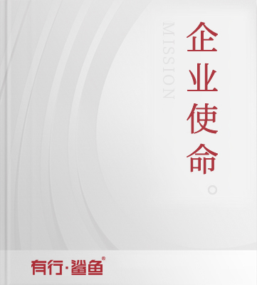 企业使命